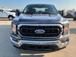 2023 F-150 Thumbnail 9