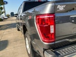 2023 F-150 Thumbnail 10