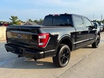 2023 F-150 Thumbnail 5
