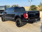 2023 F-150 Thumbnail 9