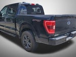 2023 F-150 Thumbnail 4