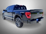 2023 F-150 Thumbnail 7