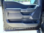 2023 F-150 Thumbnail 9