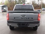 2023 F-150 Thumbnail 6