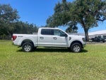 2023 F-150 Thumbnail 6