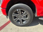 2023 F-150 Thumbnail 17