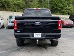 2023 F-150 Thumbnail 5
