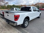 2023 F-150 Thumbnail 4