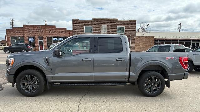 Preowned 2023 Ford F-150 XL for Sale