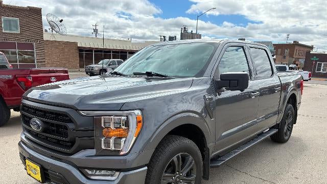 Preowned 2023 Ford F-150 Platinum for Sale