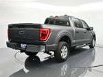 2023 F-150 Thumbnail 5