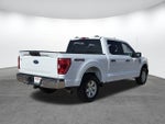 2023 F-150 Thumbnail 4