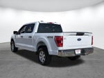 2023 F-150 Thumbnail 6