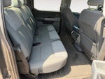 2023 F-150 Thumbnail 12