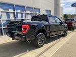 2023 F-150 Thumbnail 4