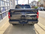 2023 F-150 Thumbnail 5