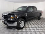 2023 F-150 Thumbnail 3