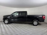 2023 F-150 Thumbnail 4