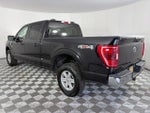 2023 F-150 Thumbnail 5
