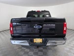 2023 F-150 Thumbnail 6