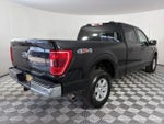 2023 F-150 Thumbnail 7