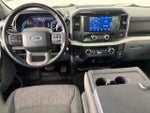 2023 F-150 Thumbnail 14
