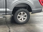 2023 F-150 Thumbnail 19