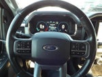 2021 F-150 Thumbnail 15
