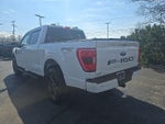 2021 F-150 Thumbnail 4