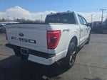 2021 F-150 Thumbnail 6