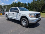 2021 F-150 Thumbnail 2