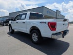 2021 F-150 Thumbnail 6