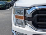 2021 F-150 Thumbnail 10