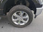2021 F-150 Thumbnail 11