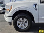 2021 F-150 Thumbnail 10