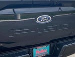2021 F-150 Thumbnail 8