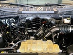 2021 F-150 Thumbnail 10