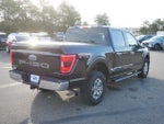 2021 F-150 Thumbnail 5