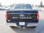 2021 F-150 Thumbnail 6