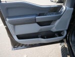 2021 F-150 Thumbnail 11