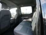 2021 F-150 Thumbnail 15