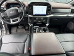 2021 F-150 Thumbnail 12