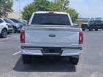 2021 F-150 Thumbnail 8