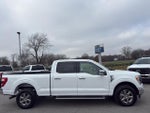 2022 F-150 Thumbnail 4