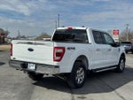 2022 F-150 Thumbnail 3