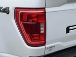 2022 F-150 Thumbnail 8