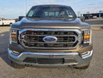 2022 F-150 Thumbnail 2