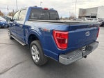 2022 F-150 Thumbnail 8