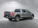 2023 F-150 Thumbnail 12