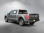 2023 F-150 Thumbnail 14